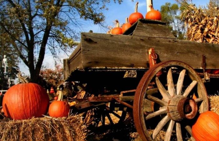 25 октября 2025 года отмечается народный праздник Андрон Звездочет