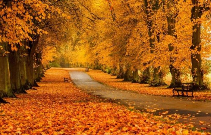 Православные 1 октября отмечают несколько праздников: память преподобного Евмения, епископа Гортинского, преподобного Илариона Оптинского и другие