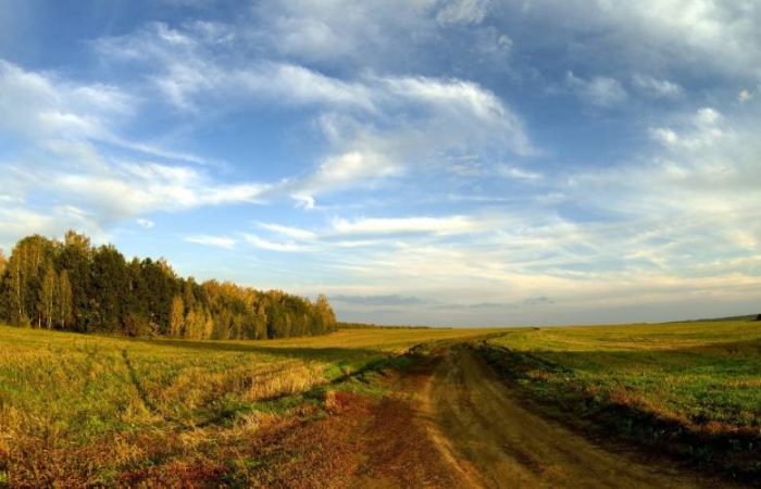 21 ноября – день памяти самого старейшего творения и создания – архангелов и ангелов