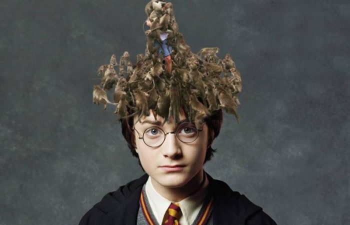 День Гарри Поттера и другие праздники 2 мая 2024 года