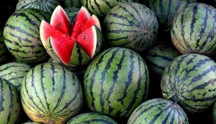 Неожиданные тайны арбуза: 8 фактов, которые вас поразят