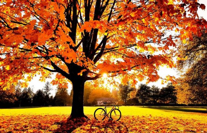 История кризиса в России октября 1993 года