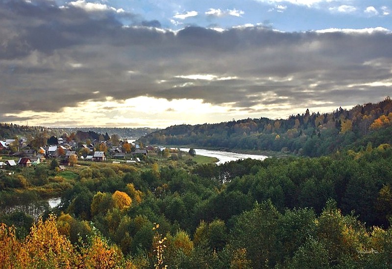 Леса новгородской области фото