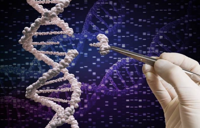 Российская вакцина от рака: что нужно знать о ее действии и эффективности