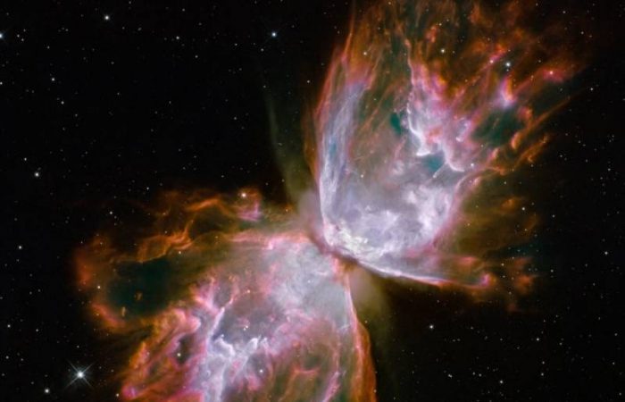 Эксперимент на МКС: как космос влияет на патогенные микроорганизмы?