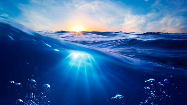 Опасности для вод Мирового океана: тройная угроза
