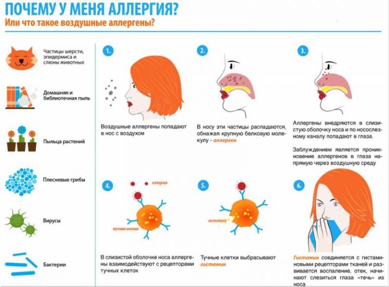 Какие бывают аллергии фото список