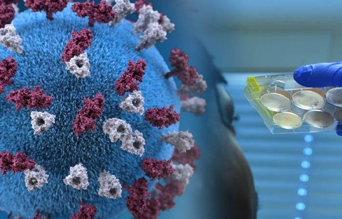 JAMA: По всему миру наблюдается рост случаев нового вируса, аналогичного COVID-19