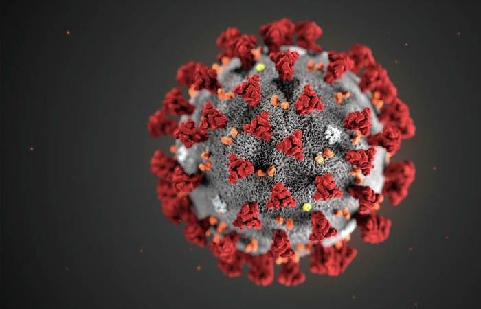 В России вспышка забытого вируса: как защитить себя?