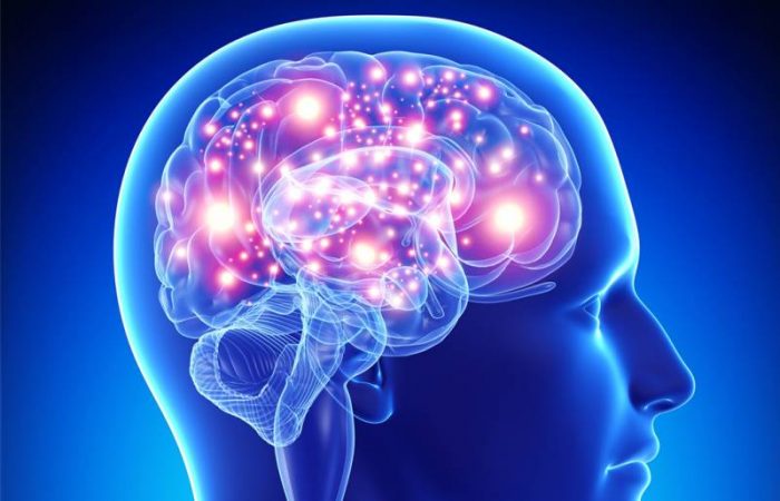 Простое упражнение для мозга: как активировать его за 10 минут