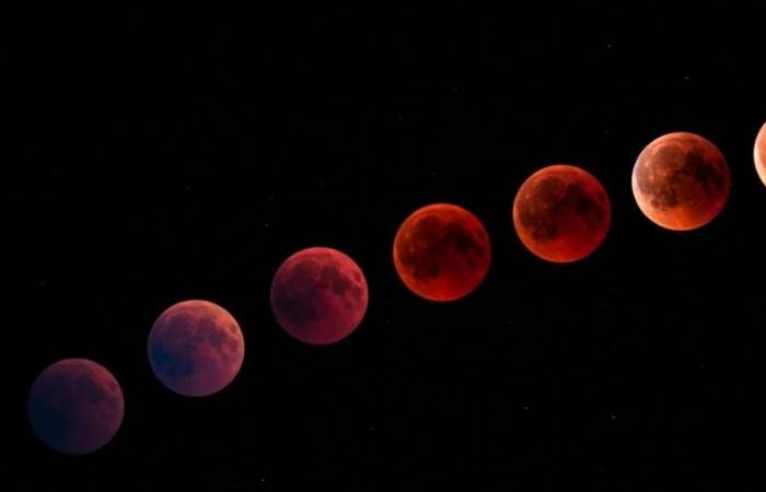 Лунный календарь на март 2026 года: идеальные дни для посева рассады