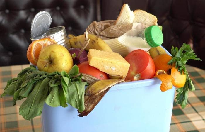 Международные, профессиональные и церковные: какие праздники отмечают 20 октября 2025 года