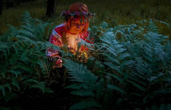 Деньги не растут на деревьях: 7 растений, которые мешают вашему достатку