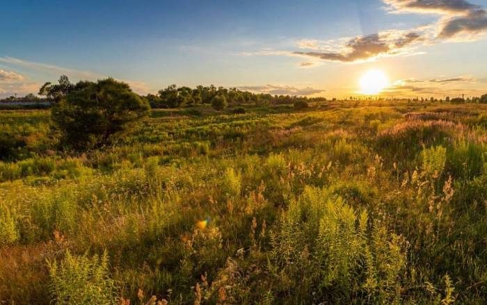 Летняя Казанская Богородица – празднование 21 июля 2025 года, приметы и традиции