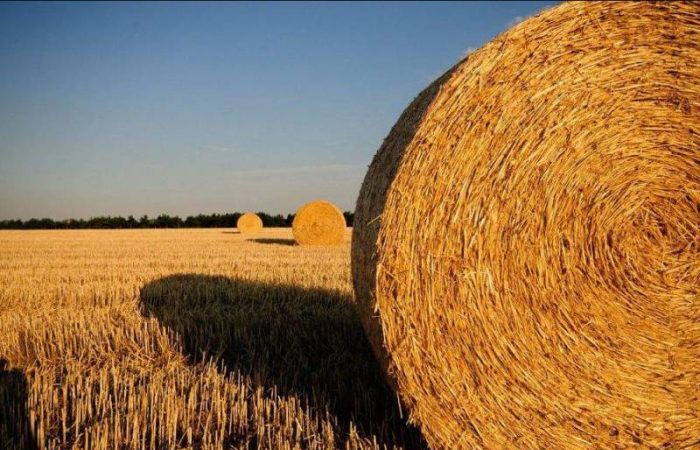 Какие праздники отмечают 11 августа 2025 года: День игры с песком и не только