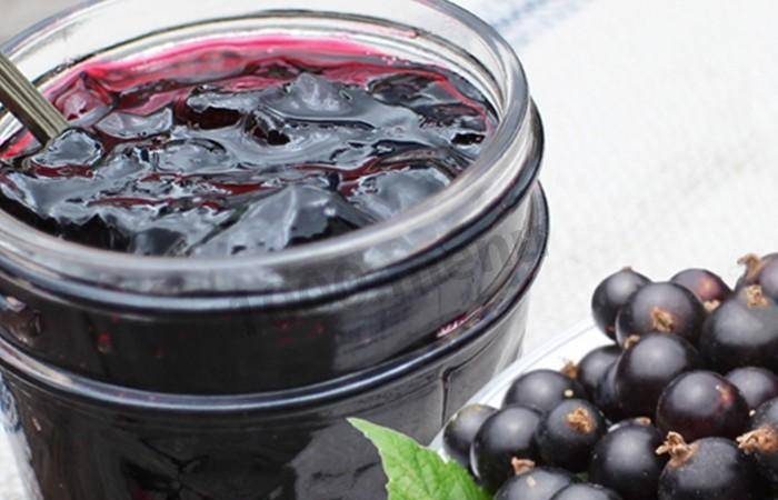 Интересный рецепт варенья из сосновых шишек, простой и вкусный