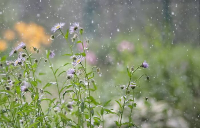 Приметы и поверья на 10 августа поведают, чем было принято заниматься у славян в этот день