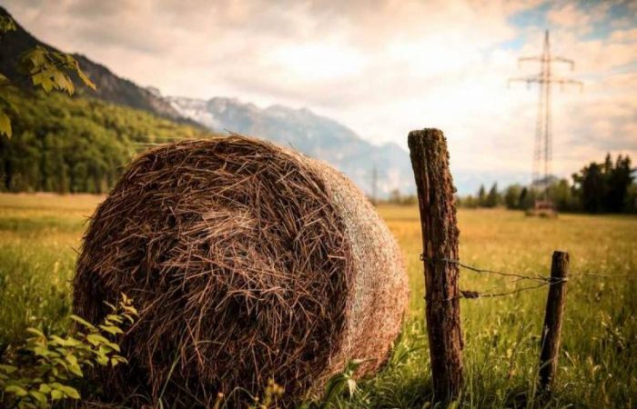 Церковные праздники, которые отмечают 20 августа 2025 года