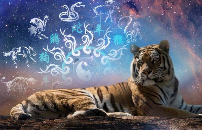 Во вторник, 29 июля 2025 года мы отмечаем Международный день тигра