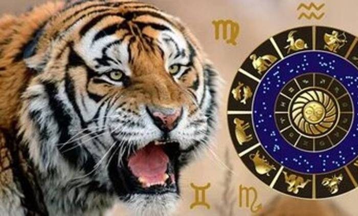 Зелёная Деревянная Змея и её фавориты: Какой знак преуспеет в сентябре?