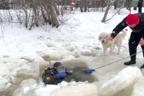 Тело женщины утонувшей в проруби на крещение нашли фото