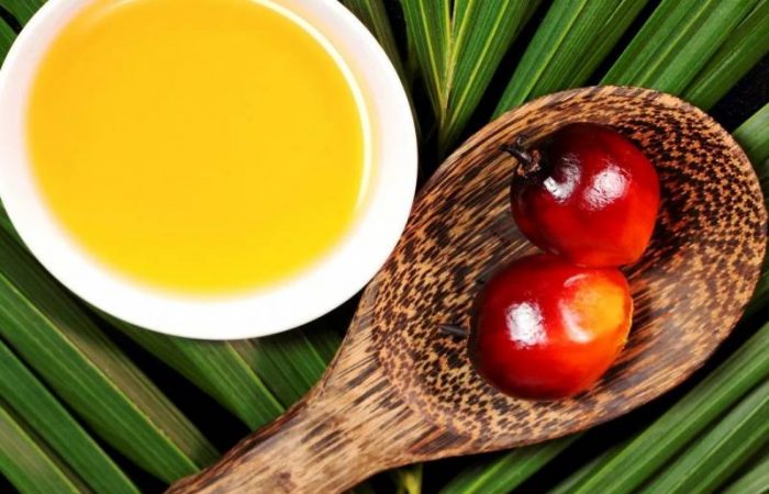 Международный день кофе, День вегетарианцев и другие праздники, отмечаемые 1 октября 2025 года