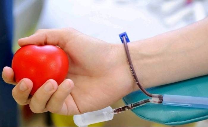Национальный день донора крови и другие праздники 20 апреля 2024 года