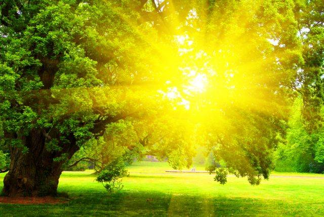 Какие праздники отмечают 30 июля 2025 года, традиции и особенности дня