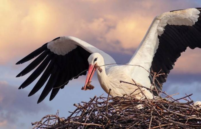 15 октября православные совершают празднование в честь священномученика Киприана, мученицы Иустины и мученика Феоктиста