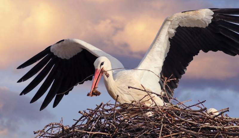 15 октября православные совершают празднование в честь священномученика Киприана, мученицы Иустины и мученика Феоктиста