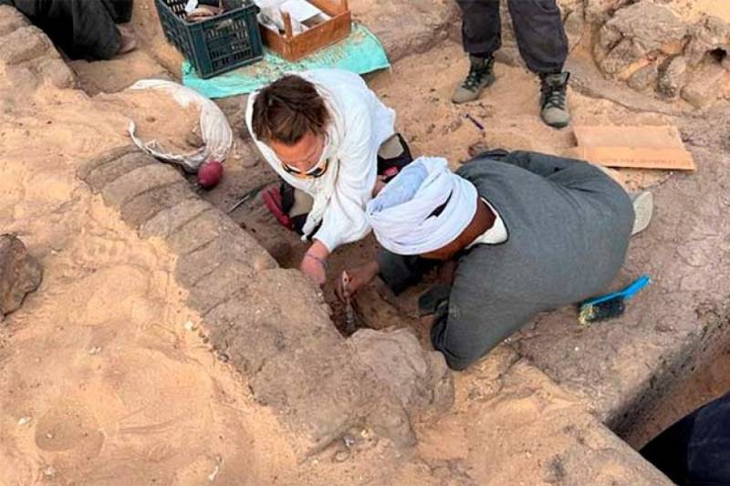 В Египте обнаружены закупоренные кувшины с вином возрастом более 5000 лет