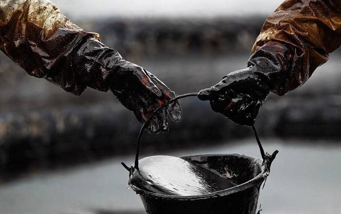 От 1 до 1,4 млн баррелей нефти в день: в Индии обнародовали данные об импорте российской нефти