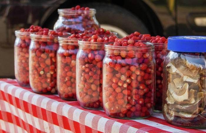 Когда упадут цены на ягоды в России?