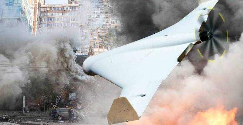 беспилотники герани и герберы