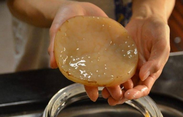 Как чайный гриб может стать вашим союзником в контроле веса: советы из СССР