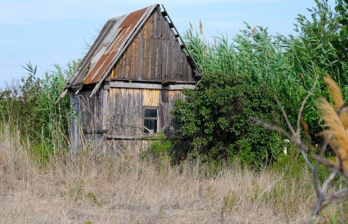 Предупреждение для дачников: новые штрафы за нарушение земельного законодательства