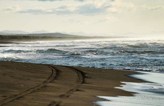 Ученый Шестаков: Как землетрясение изменило ландшафт Камчатки