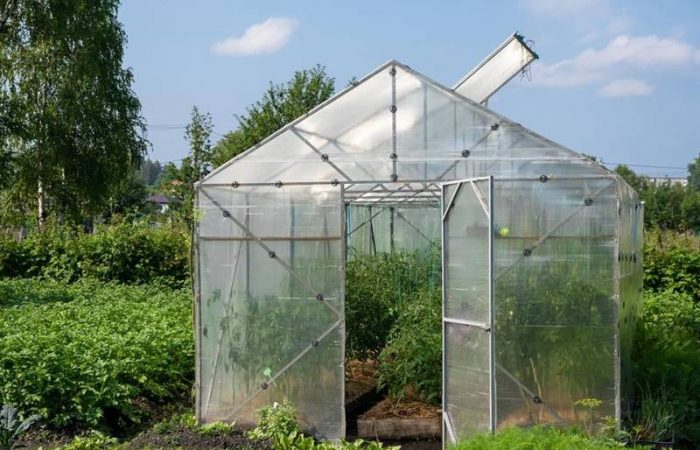 Юрист напомнил, за какие хозпостройки можно не платить налог на имущество в 2025 году