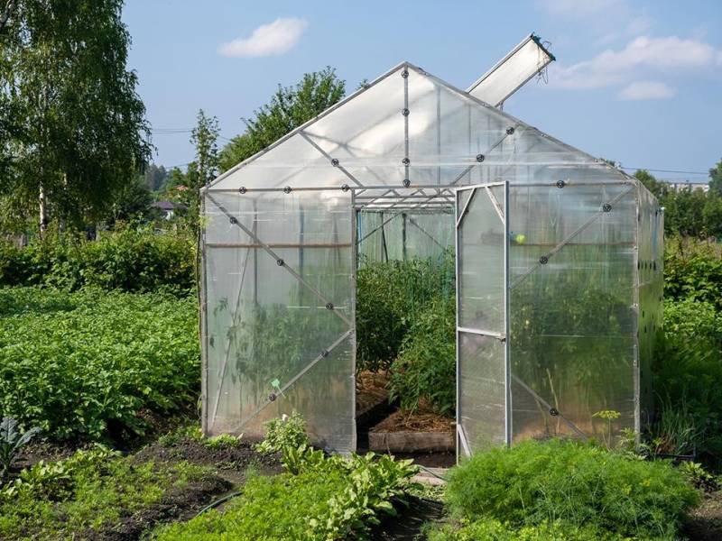 За какие хозпостройки можно не платить налог на имущество в России в 2025 году?