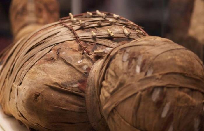 Учёные раскрыли тайну гробницы Цербера: найдена идеально сохранившаяся мумия