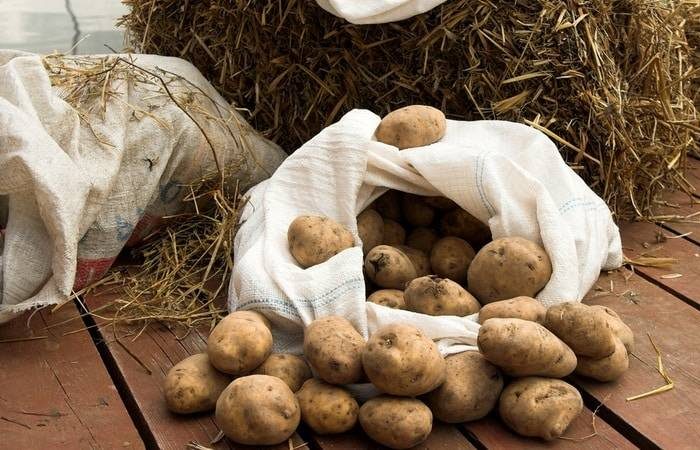 Секреты хранения картофеля и лука: идеальный температурный режим