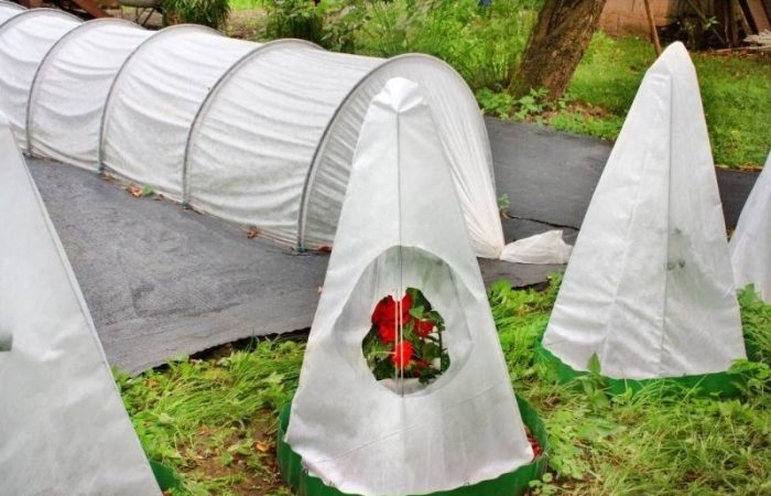 Эффективное укрытие роз: 20 минут для зимней безопасности