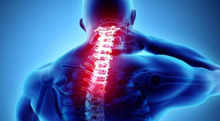 Сигнал к росту: как новый биомедицинский подход может изменить лечение остеопороза