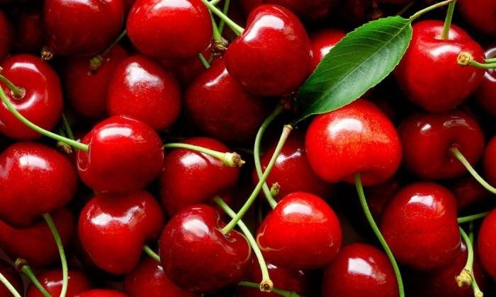 Как вырастить вишневое дерево из семечка: советы для начинающих