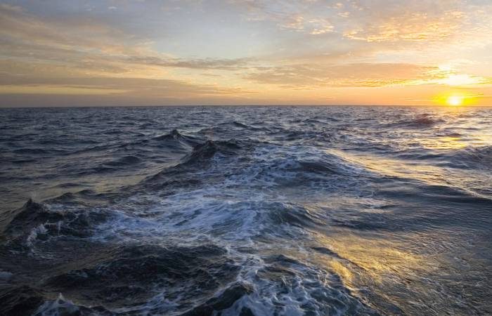 Неожиданные находки: Ученые нашли загадочную стену на дне Атлантического океана