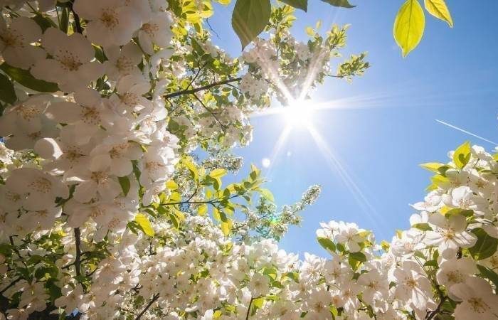 Лучшие направления для отдыха в майские праздники 2026 года: что выбрать?