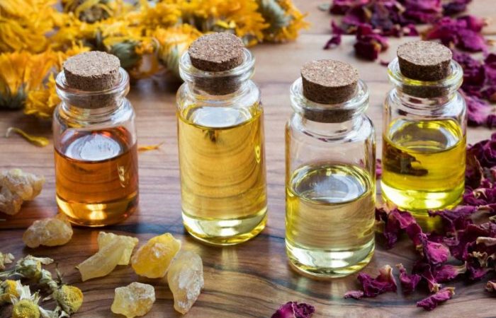 FP: Природные антибиотики: надежда на будущее медицины от ученых