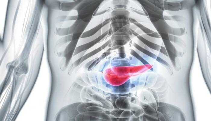 Научное открытие: тройное лечение уничтожает рак поджелудочной!