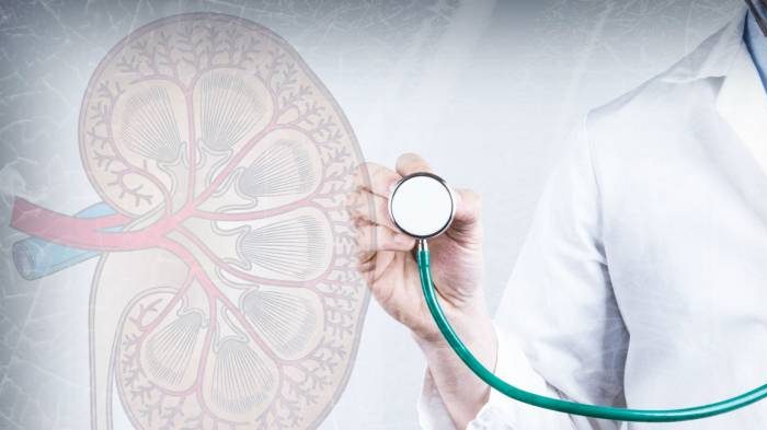 Каждый пятый под угрозой: нефролог о ‘тихой пандемии’ заболеваний почек