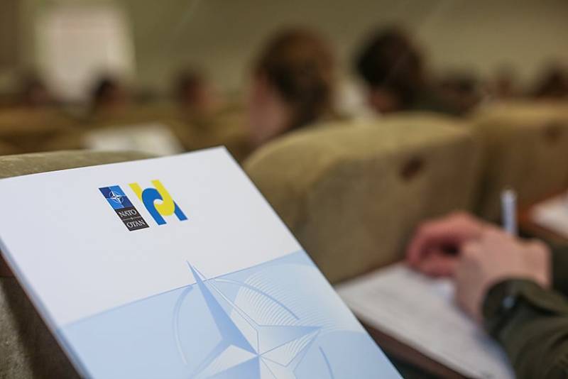 специалисты нато